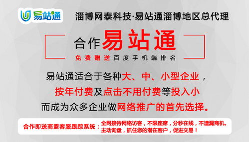 臨淄網(wǎng)絡推廣服務專家 淄博網(wǎng)泰科技引領企業(yè)數(shù)字化轉(zhuǎn)型