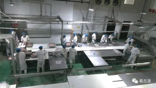 市政協(xié)調(diào)研組深入古浪縣調(diào)研農(nóng)產(chǎn)品加工產(chǎn)業(yè)發(fā)展現(xiàn)狀，聚焦工程與技術(shù)研發(fā)新路徑